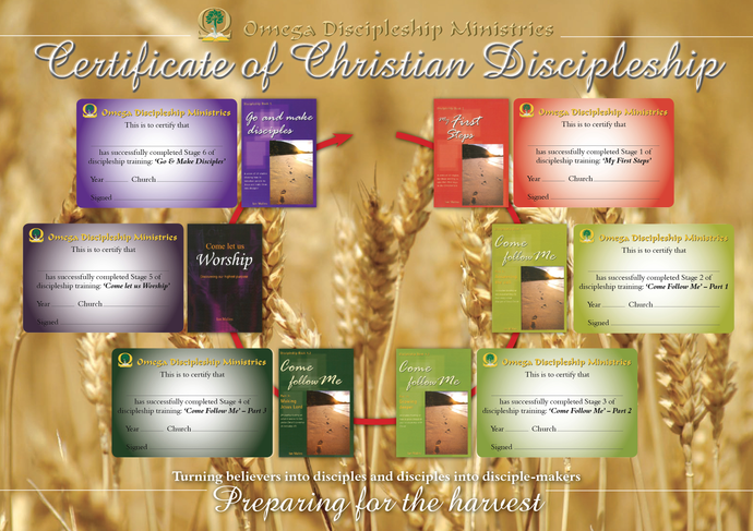 Discipleship Series - Certificate (Pack of 6 sets) - Omega Discipleship Ministries